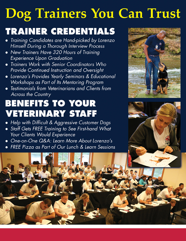 Veterinarian Flyer