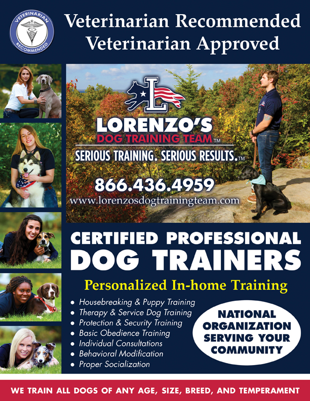 Veterinarian Flyer