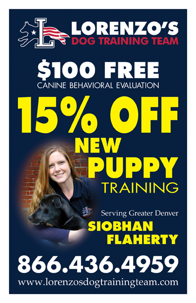 Puppy Flyer